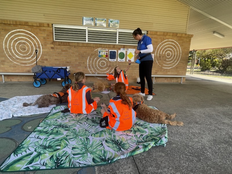 Fur Therapy Australia | Eucalyptus Dr, Banora Point NSW 2486, Australia | Phone: 0418 976 971