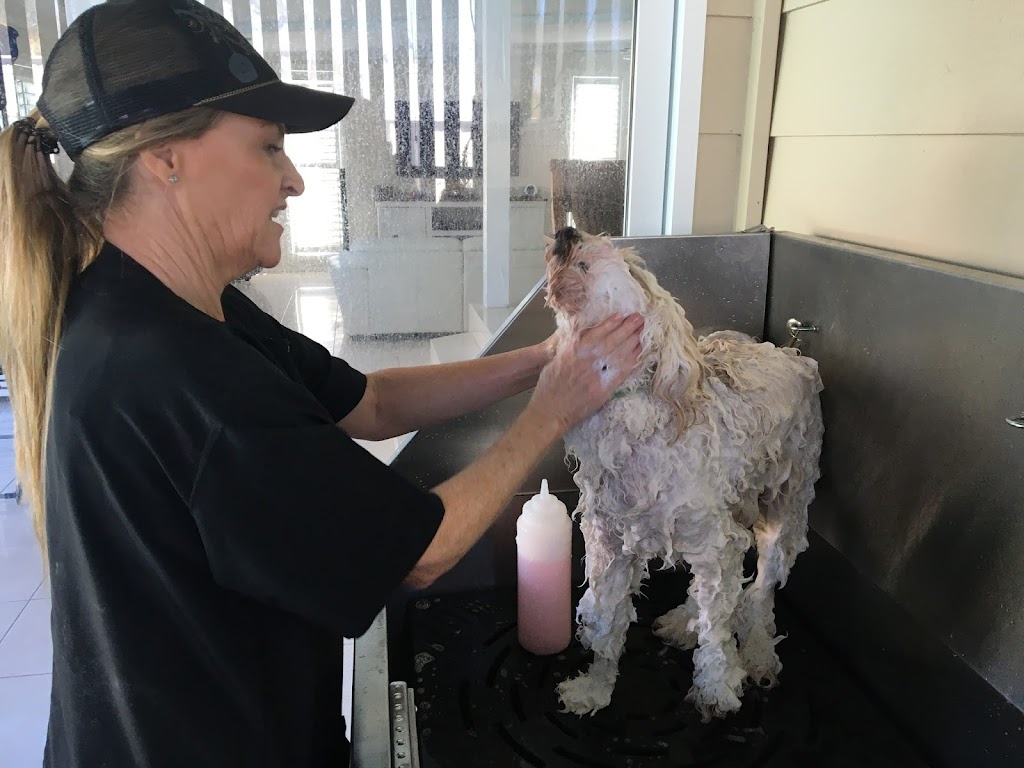 Custom Cutz Dog Grooming Blacksmiths | 10 Tirriki St, Blacksmiths NSW 2281, Australia | Phone: 0439 406 440