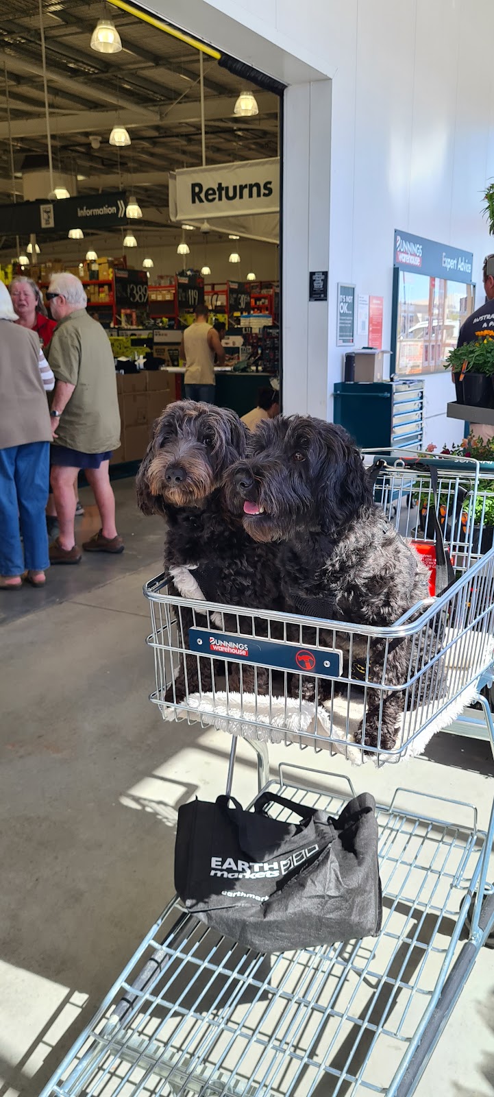 Bunnings Caboolture | 459 Pumicestone Rd, Caboolture QLD 4510, Australia | Phone: (07) 5420 2200