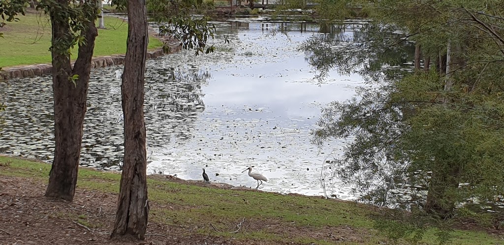 Burlington Hut | park | 37 Burlington Terrace, Springfield Lakes QLD 4300, Australia