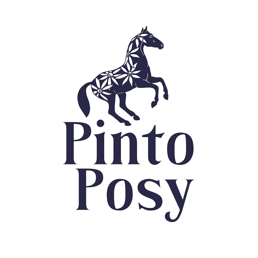 Pinto Posy | art gallery | 25 Miller St, Gilgandra NSW 2827, Australia | 0428165059 OR +61 428 165 059
