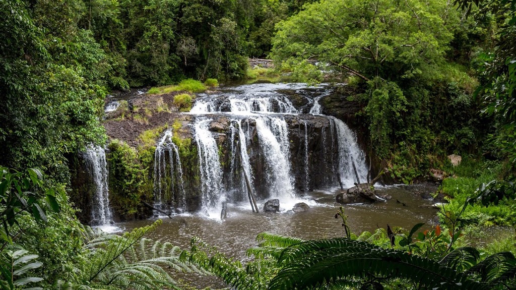 Wallicher Falls | tourist attraction | Palmerston Hwy, Wooroonooran QLD 4860, Australia | 137468 OR +61 137468