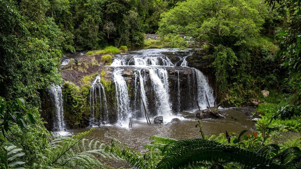 Wallicher Falls | Palmerston Hwy, Wooroonooran QLD 4860, Australia | Phone: 13 74 68