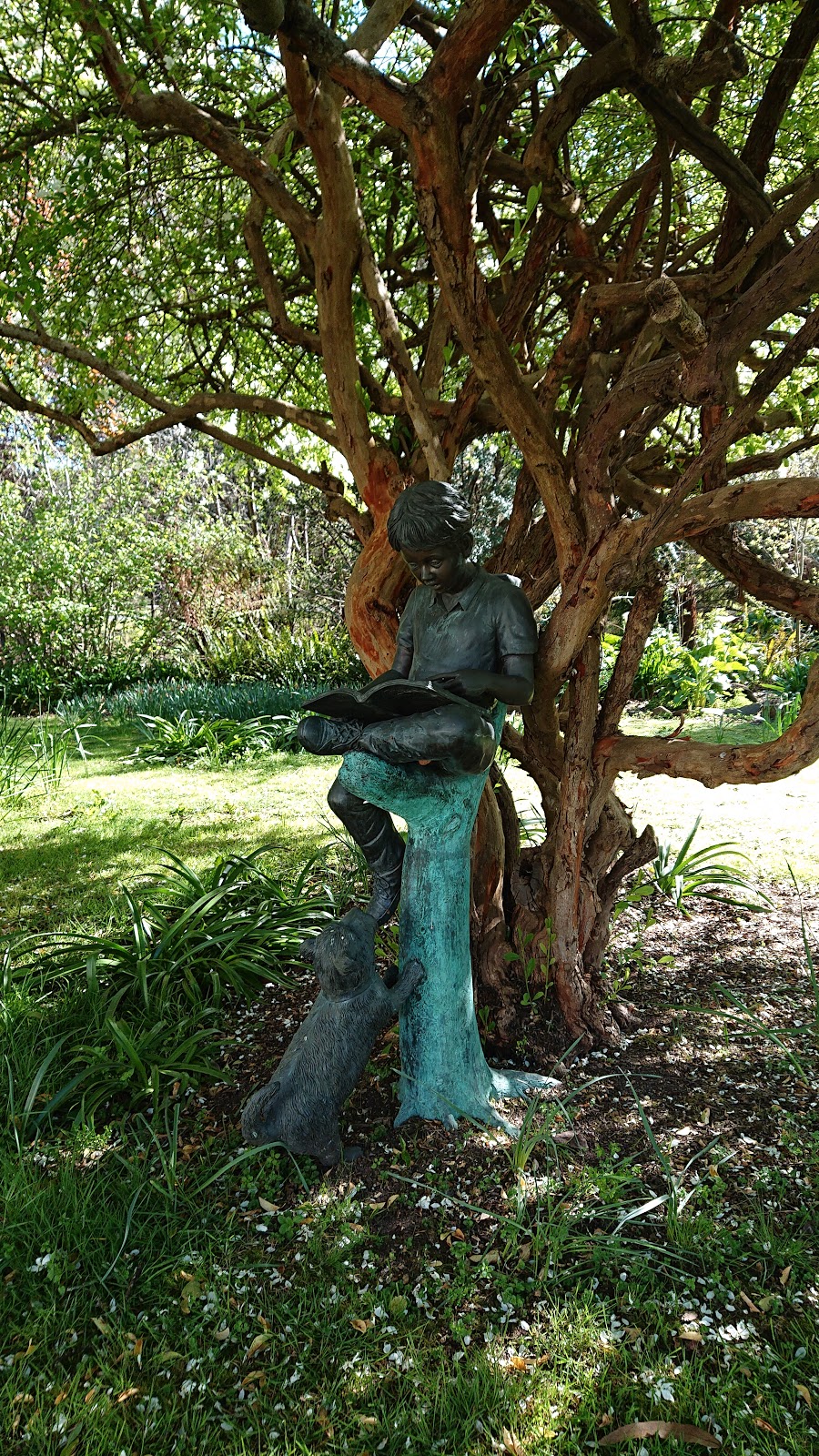 Stony Rise Cottage | 13 Rundle Rd, Devonport TAS 7310, Australia | Phone: (03) 6423 6476