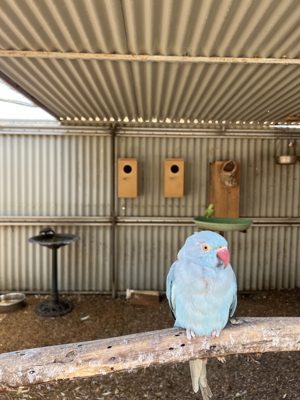Esperance Bird & Animal Park Café | Lot 3/549 Coolgardie Esperance Hwy, Esperance WA 6450, Australia | Phone: (08) 9076 1067