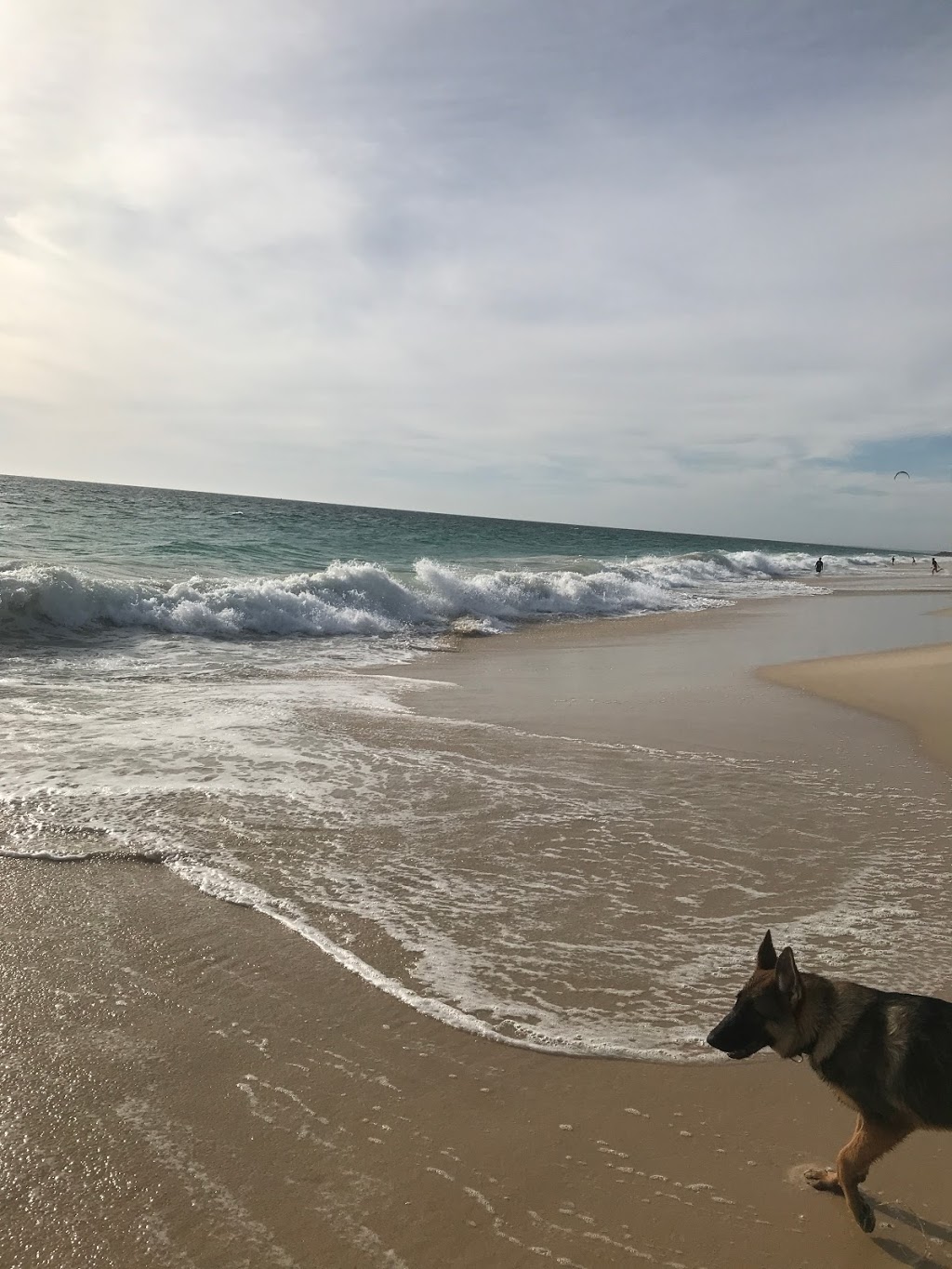 Dog Beach ( South of City Beach) | Challenger Parade, City Beach WA 6015, Australia