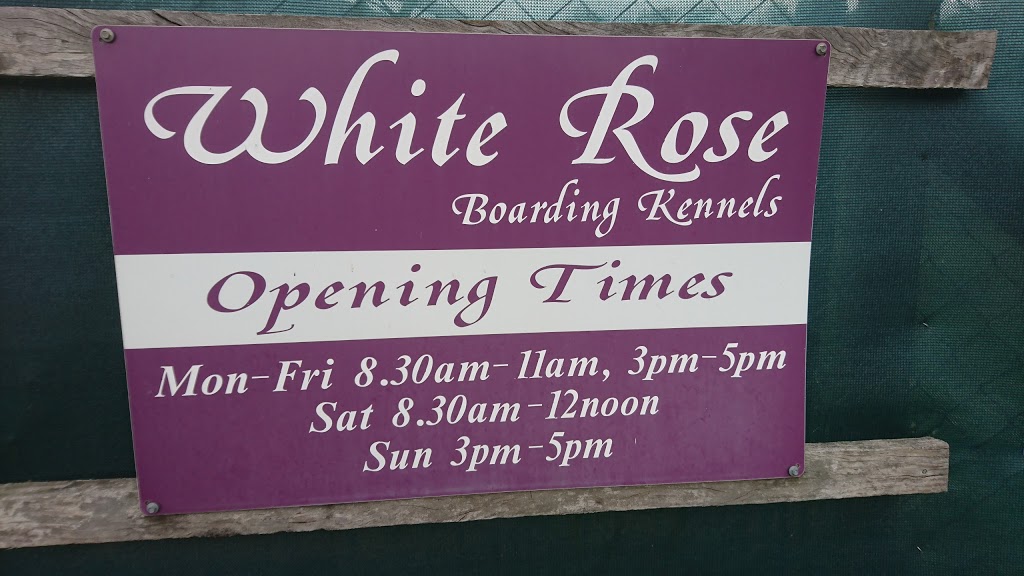 White Rose Boarding Kennels | 1 Hodgsons Rd, Walloon QLD 4306, Australia | Phone: (07) 5464 5422