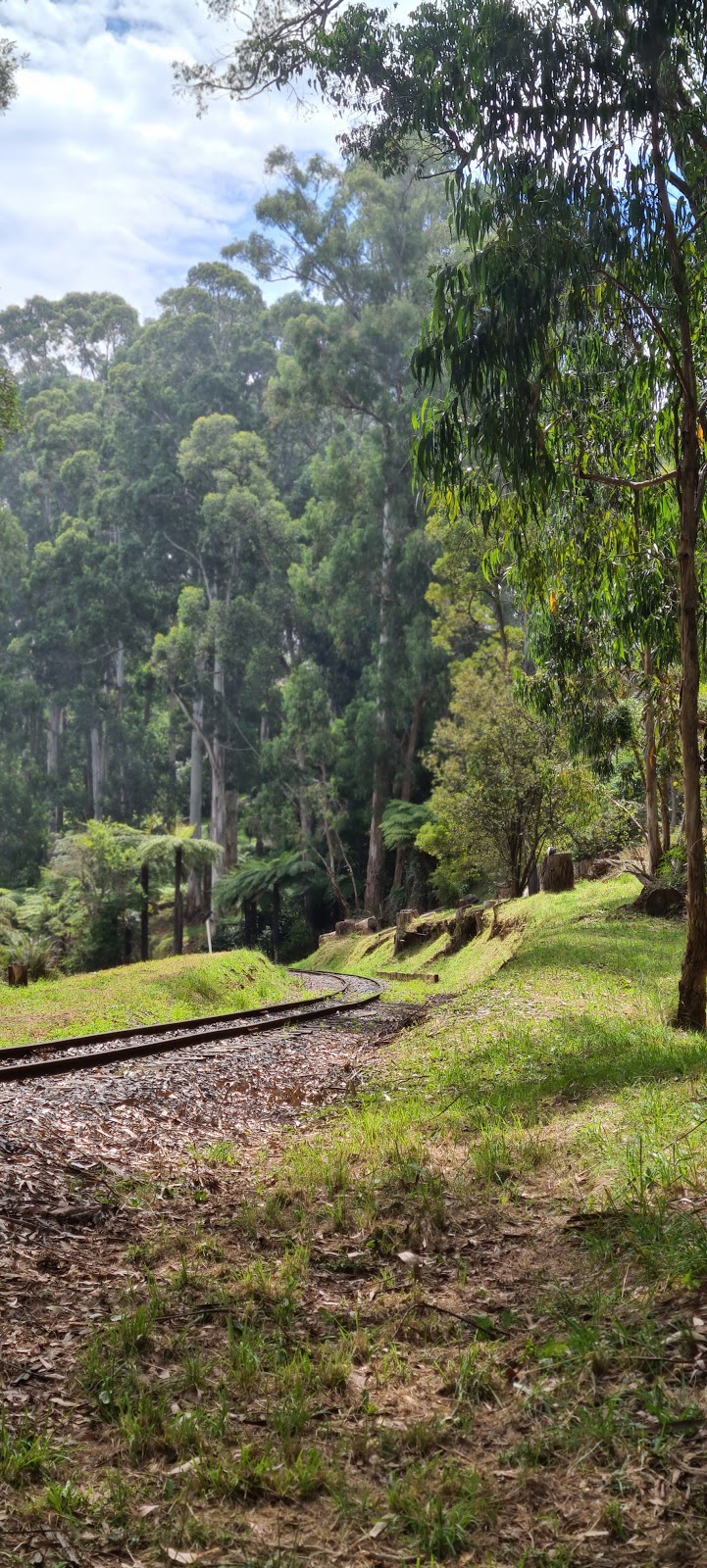 Emerald Tourist Railway Board | tourist attraction | 17 Kilvington Dr, Emerald VIC 3782, Australia | 0397570700 OR +61 3 9757 0700