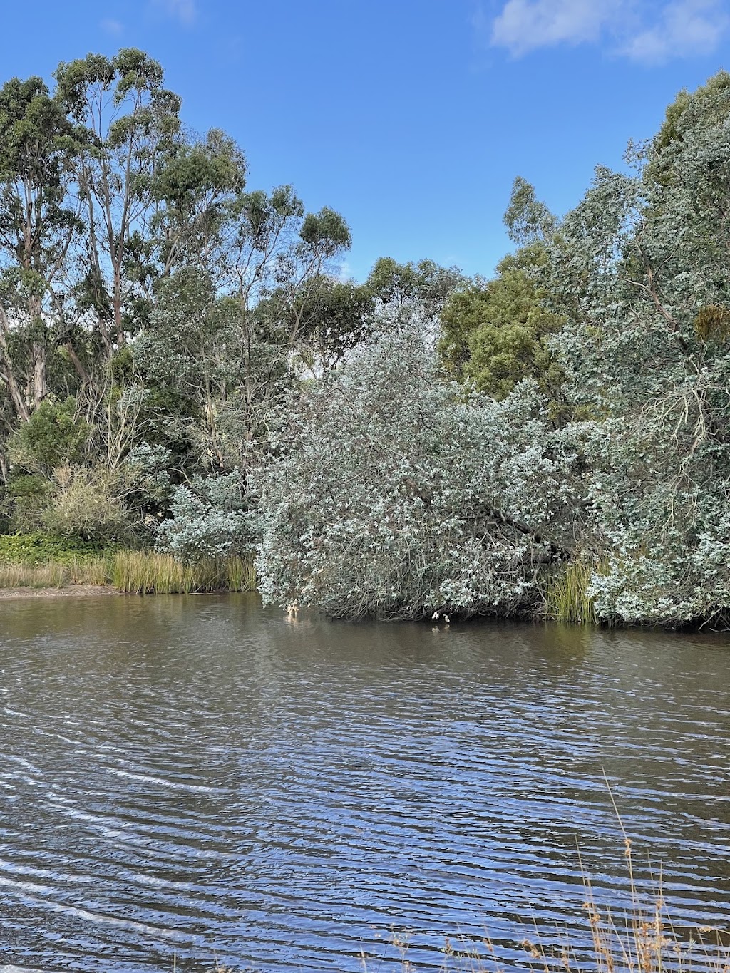 Ninaya Farm | 104 Chambers Rd, Ashbourne VIC 3442, Australia | Phone: 0433 176 710