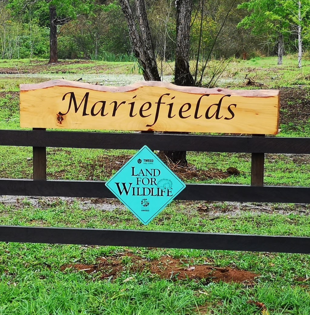 Mariefields Organic Farm | lodging | 229 S Pumpenbil Rd, Pumpenbil NSW 2484, Australia | 0400299444 OR +61 400 299 444