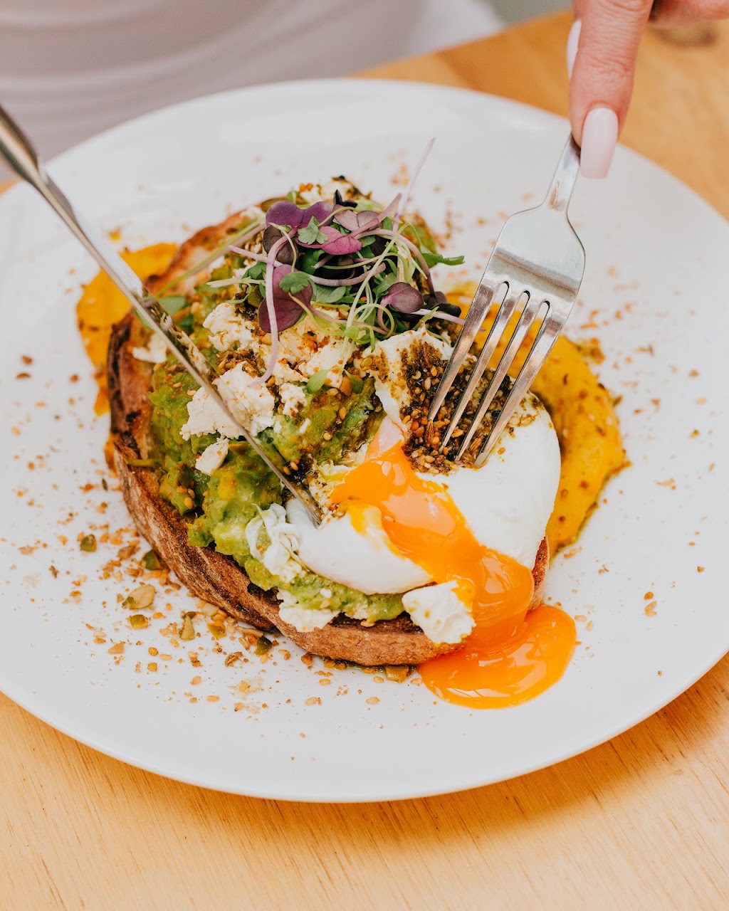 Banksia Burwood | 22 Banksia St, Burwood VIC 3125, Australia | Phone: (03) 9008 7447