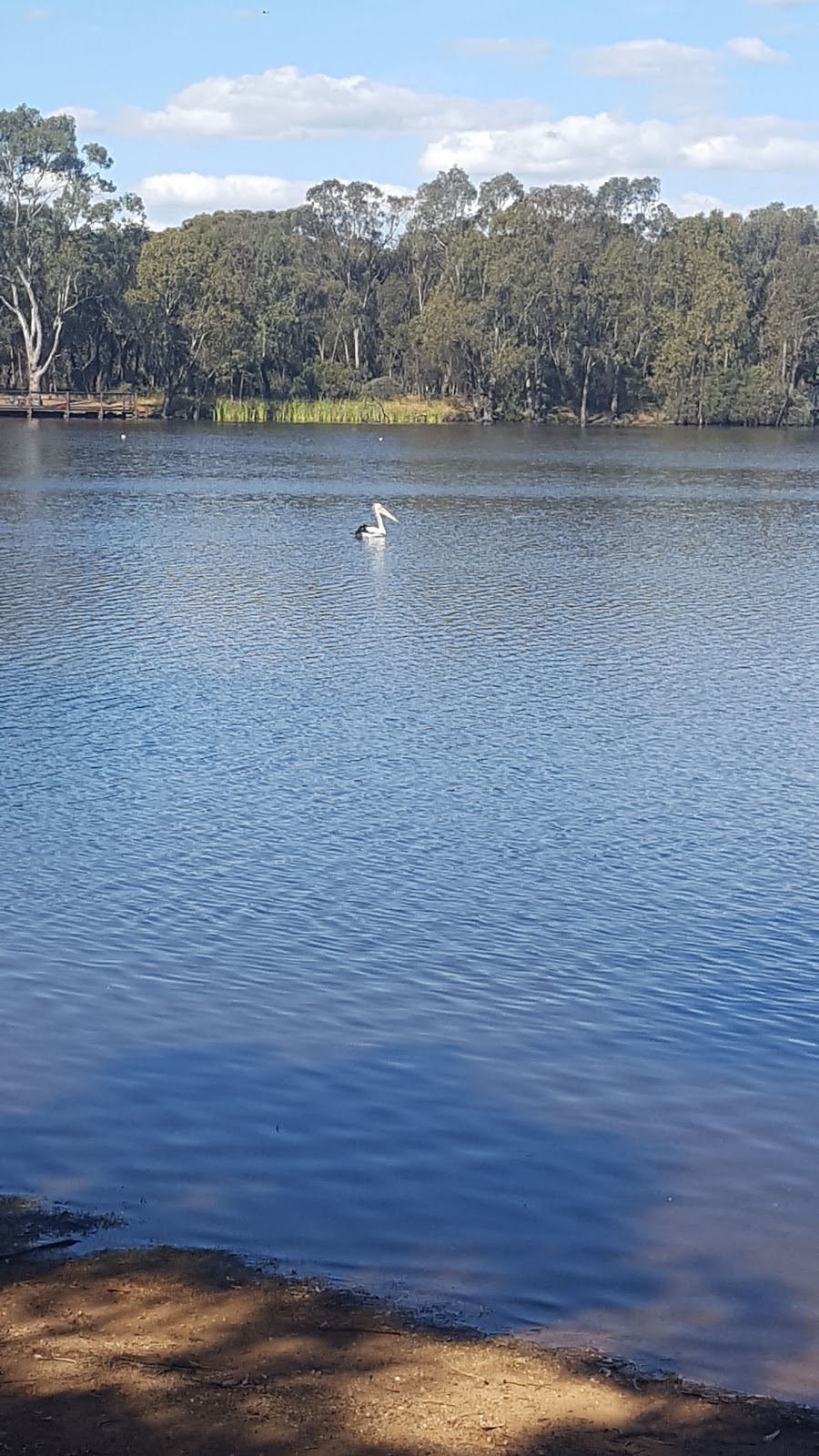 Bendigo parkrun | 55 Reservoir Rd, Strathdale VIC 3550, Australia