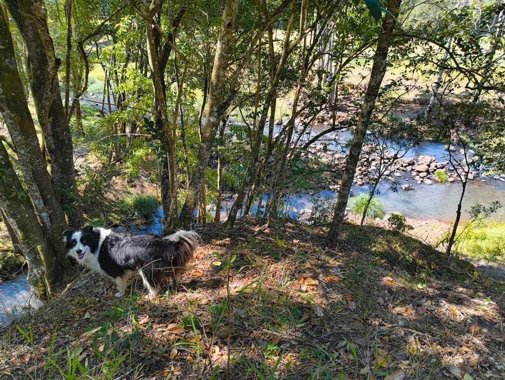 Biodanza School of Australia at Pumulani | 236 Graydon Rd, Corndale NSW 2480, Australia | Phone: 0477 800 001