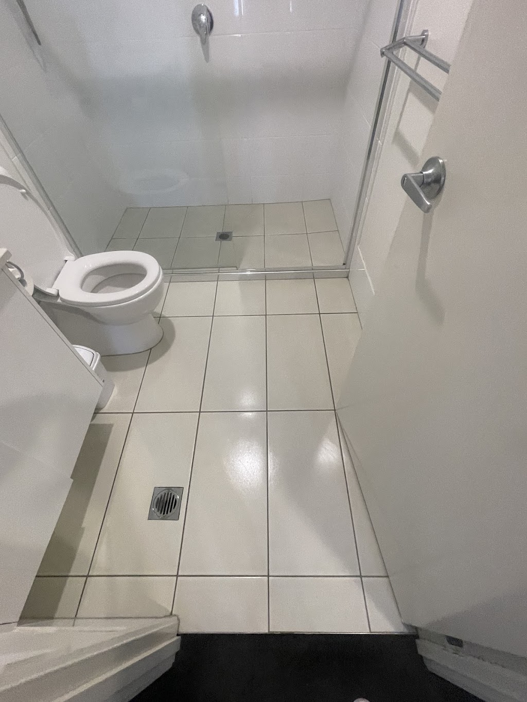 High Care Cleaning Services | 18 Lashmar St, South Ripley QLD 4306, Australia | Phone: 0450 698 303