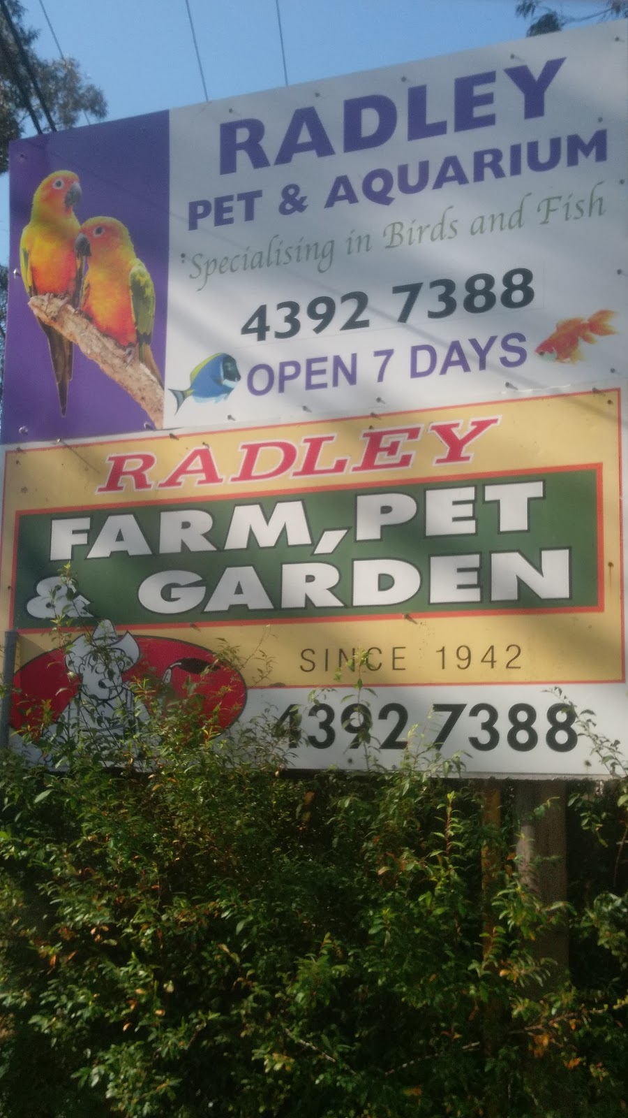 Radley Pet and Aquarium | 587 Pacific Hwy, Kanwal NSW 2259, Australia | Phone: (02) 4392 7388