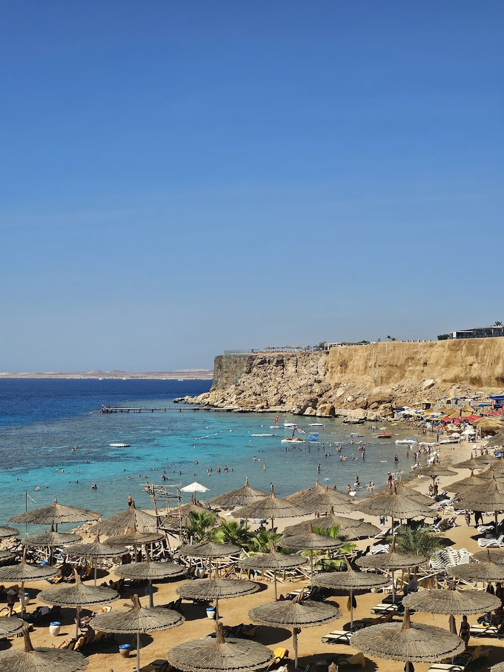 Absolute Egypt | Parcel Collect 10079, 48258/30 Commercial St, Korumburra VIC 3950, Australia | Phone: (03) 5959 1939