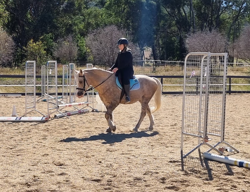 Evolve with Horse Coaching | 251 Old Hume Hwy, Glenrowan VIC 3675, Australia | Phone: 0419 513 788