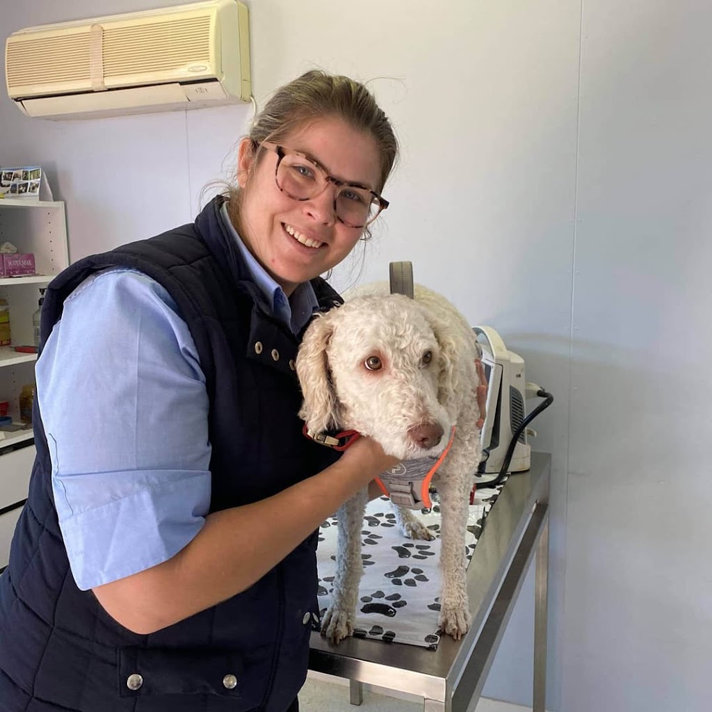 Great Artesian Veterinary Surgery | veterinary care | 1 Hann Hwy, Hughenden QLD 4821, Australia | 0747411223 OR +61 7 4741 1223