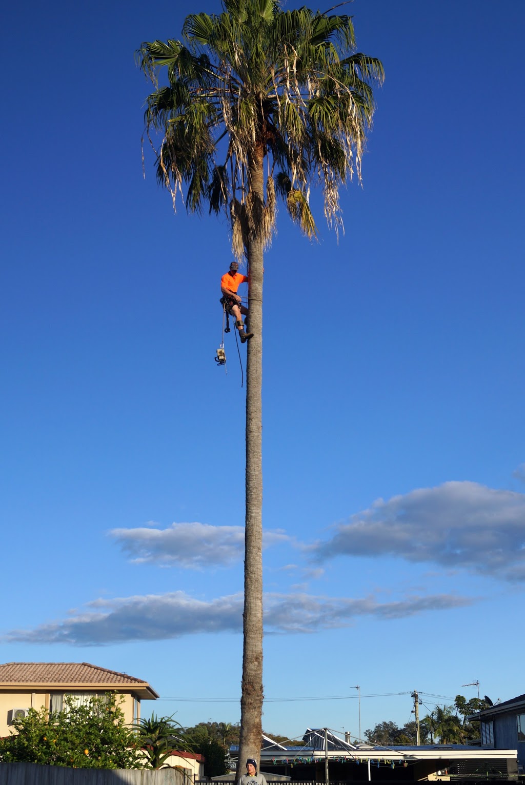 Gold Coast Stump Busters | Gaven QLD 4211, Australia | Phone: 0403 182 352