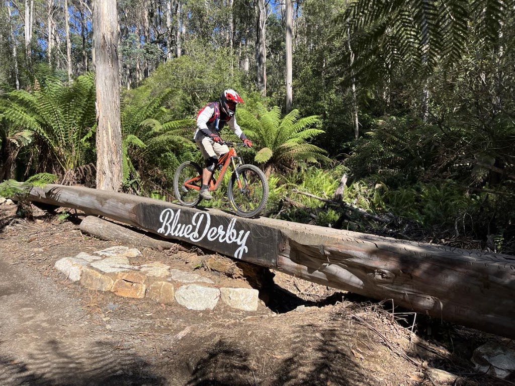 Trouty Cottage & Studio | 31 Allan St, Derby TAS 7264, Australia | Phone: 0448 997 006