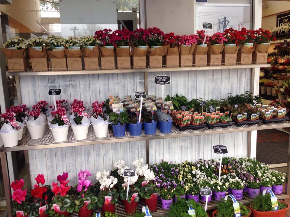 The Flower Market Herdsman | florist | 9 Flynn St, Churchlands WA 6018, Australia | 0893873414 OR +61 8 9387 3414