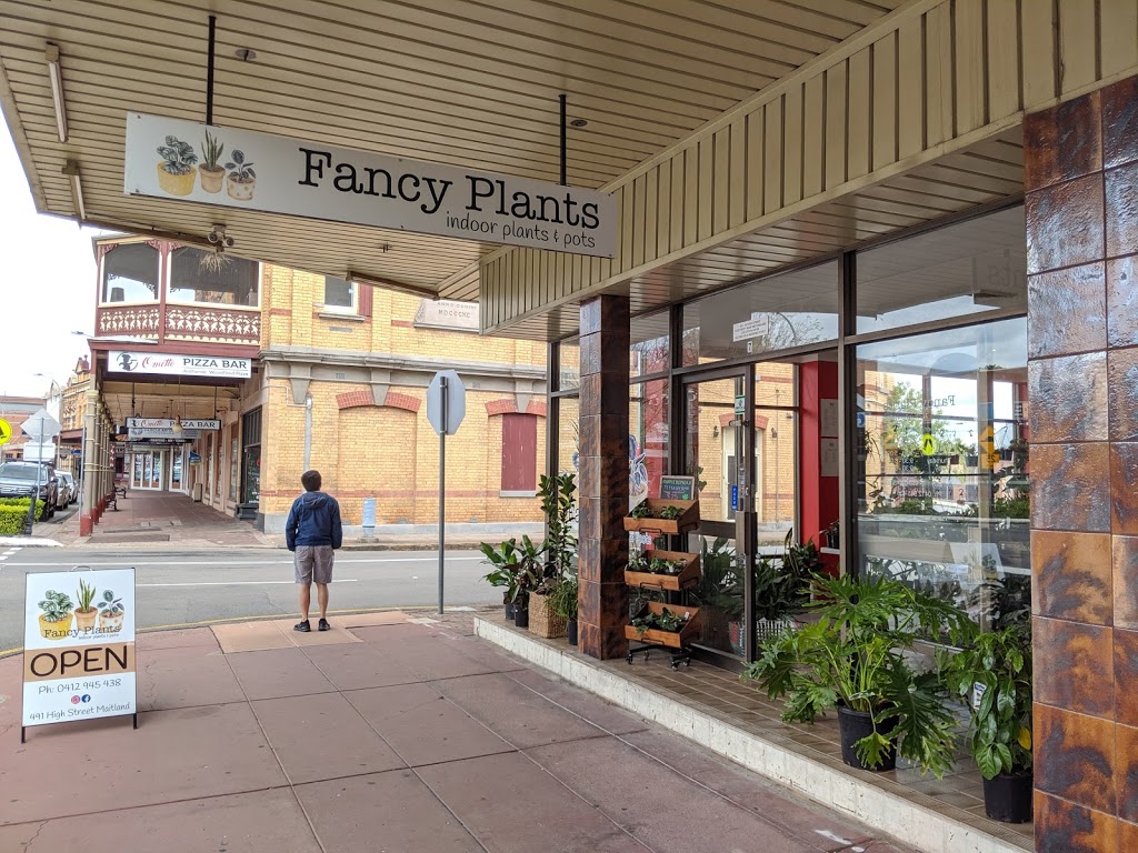 Fancy Plants |  | 491 High St, Maitland NSW 2320, Australia | 0412945438 OR +61 412 945 438