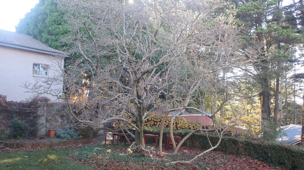 waldorf resort | 20 Fitzroy St, Leura NSW 2780, Australia