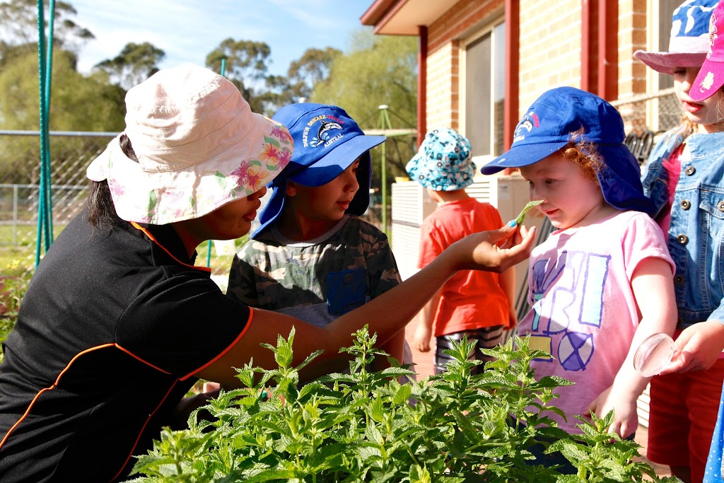 Community Kids Austral Early Education Centre | 55 Browns Rd, Austral NSW 2179, Australia | Phone: 1800 411 604