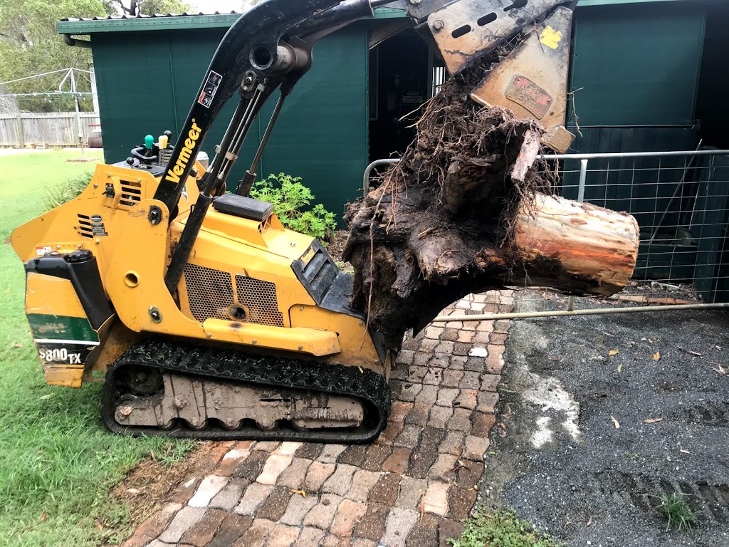 Bundy & Bargara Tree Service | 25 Faggs Rd, Gooburrum QLD 4670, Australia | Phone: 0437 659 528