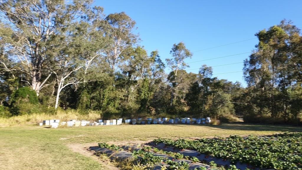 Chambers Flat Strawberry Farm |  | 912 Chambers Flat Rd, Chambers Flat QLD 4133, Australia | 0755463652 OR +61 7 5546 3652