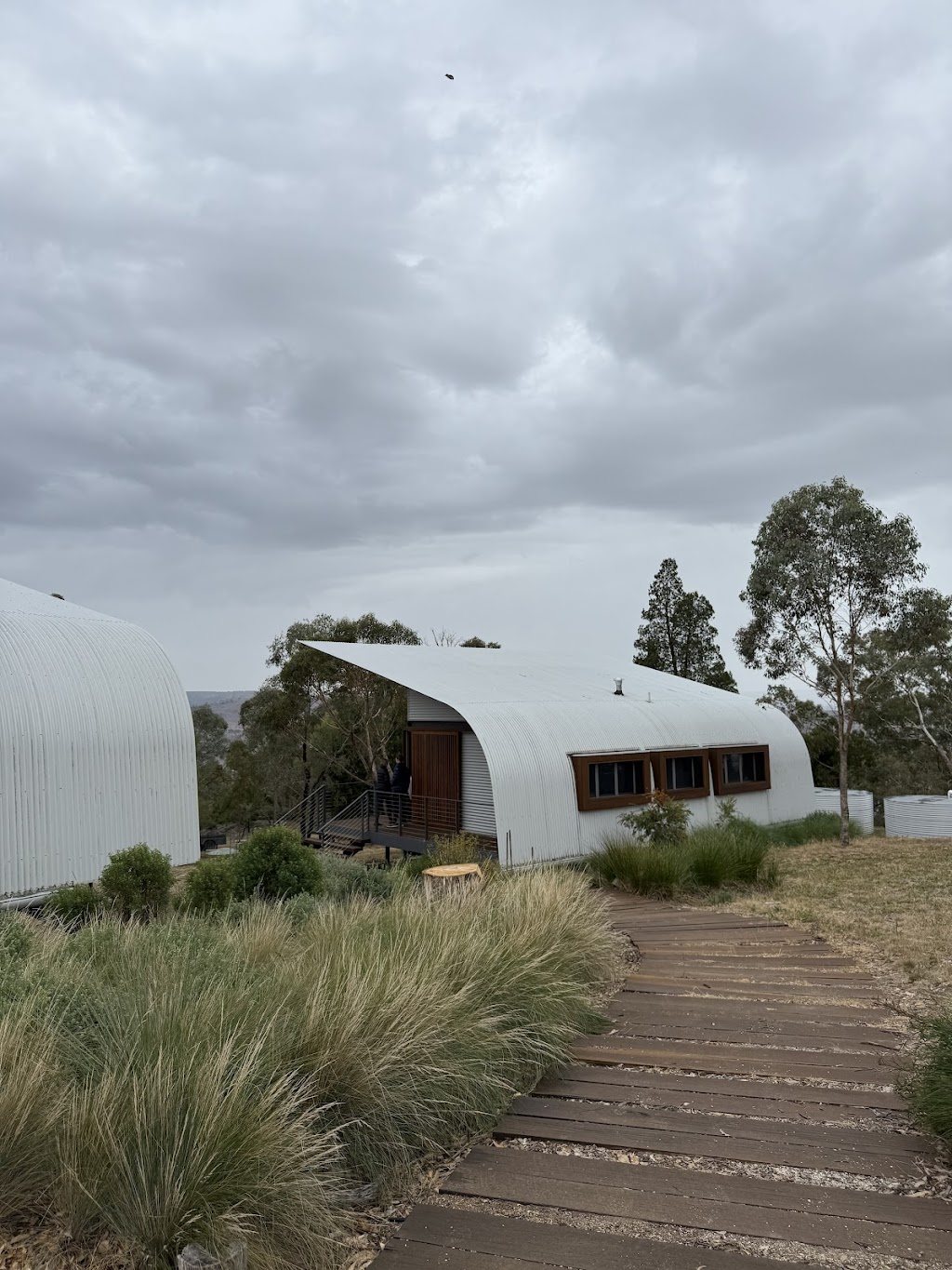 Rock Forest Vineyard | 12 Pine Ridge Rd, Rock Forest NSW 2795, Australia | Phone: 0418 165 070