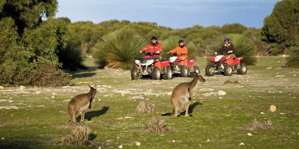 Kangaroo Island Outdoor Action | travel agency | Jetty Rd, Vivonne Bay SA 5223, Australia | 0885594296 OR +61 8 8559 4296