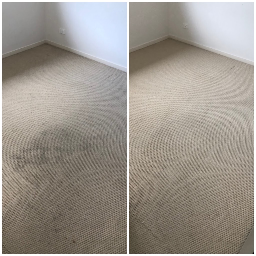 All Clean Carpet Cleaning & Pest Control | laundry | Butterleaf Cres, Pimpama QLD 4209, Australia | 0432235850 OR +61 432 235 850
