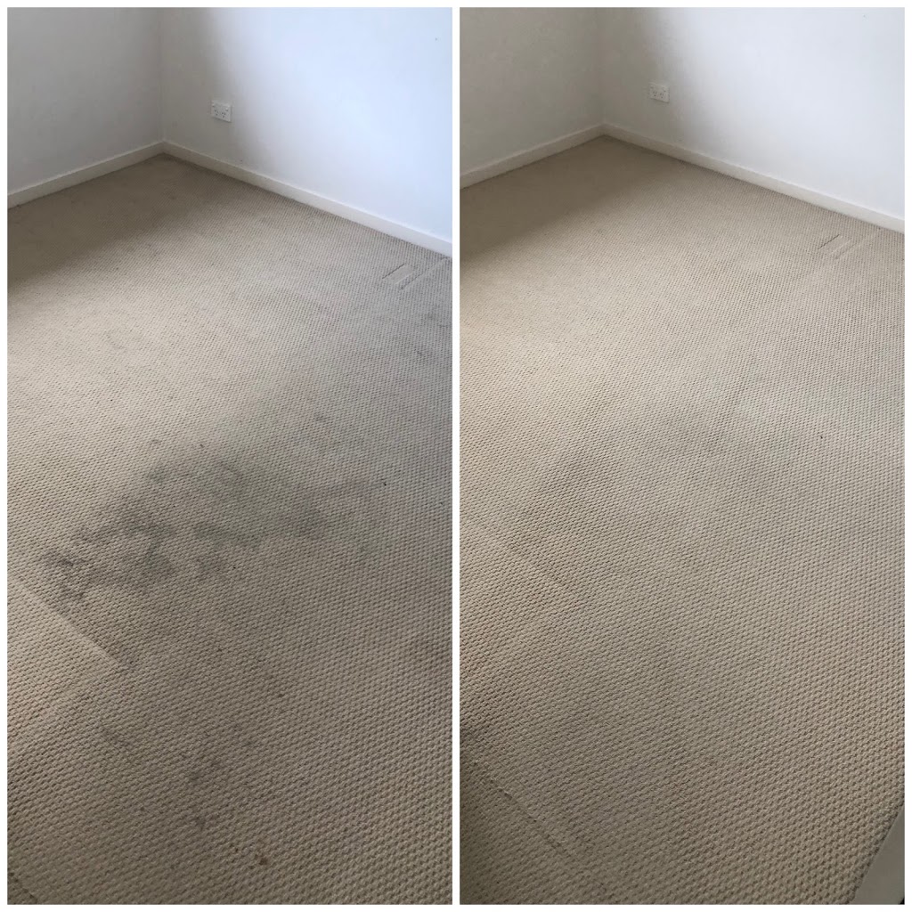 All Clean Carpet Cleaning & Pest Control | Butterleaf Cres, Pimpama QLD 4209, Australia | Phone: 0432 235 850