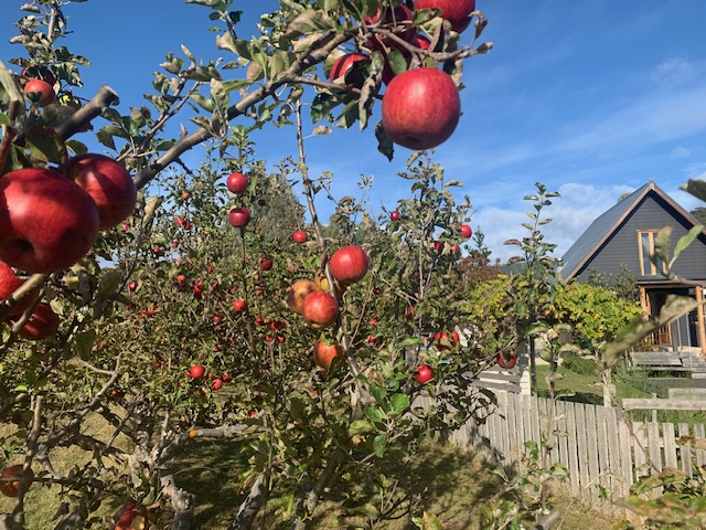 Channel Wellness Creekside | 51 Cripps Rd, Woodbridge TAS 7162, Australia | Phone: 0409 361 376