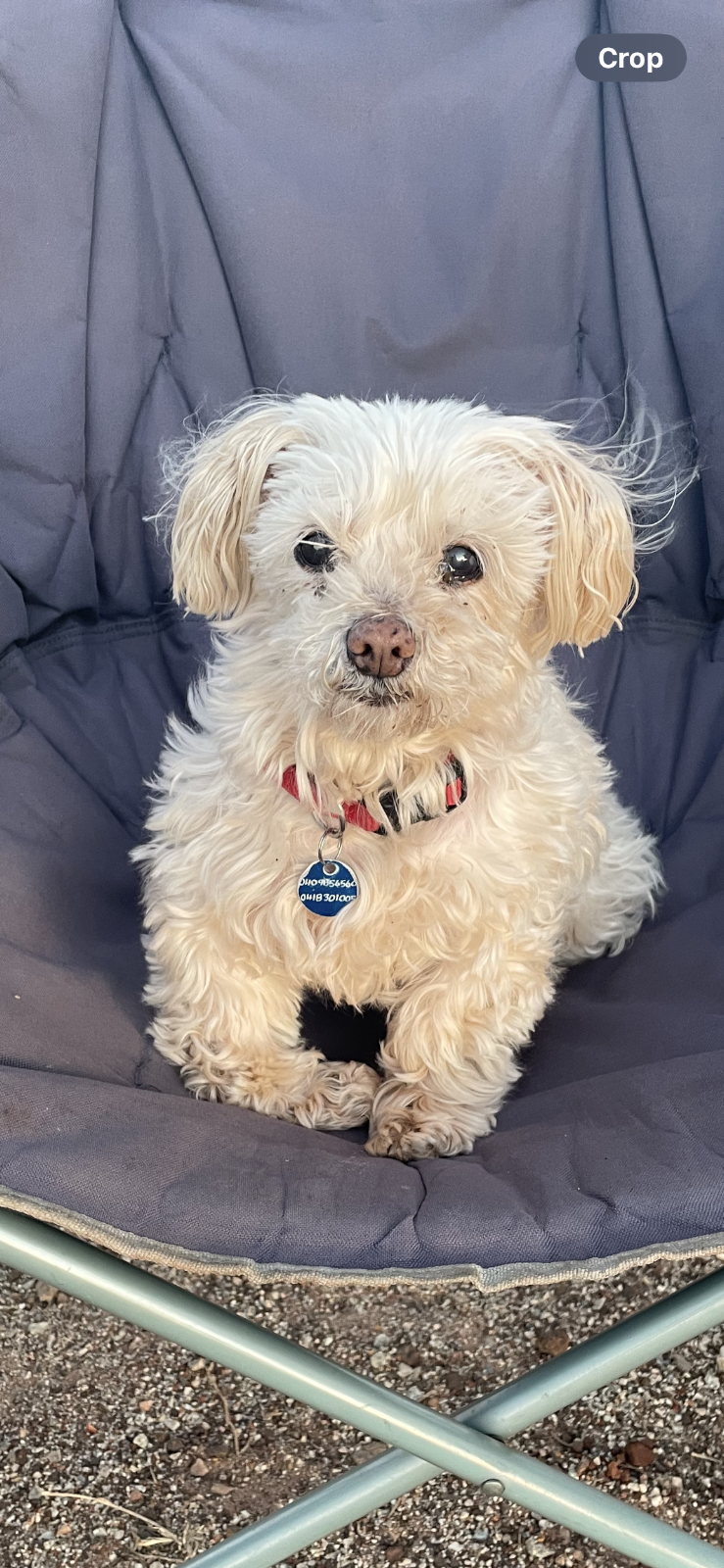 Peaceful Pets Cremations | 42 Commerce Pl, Koo Wee Rup VIC 3981, Australia | Phone: 0411 294 873
