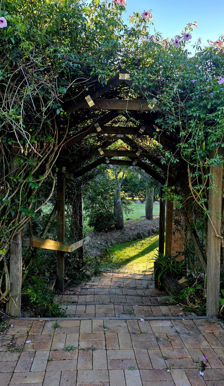 Tranquil-A-Tree | 49 Woodlea Ct, Crows Nest QLD 4355, Australia | Phone: 0410 446 076