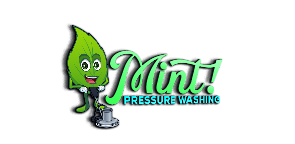 Mint! Pressure Washing | 244 Frankston - Dandenong Rd, Seaford VIC 3198, Australia | Phone: 0432 699 903