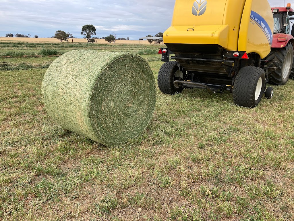 Carram Dale Farm Hay & Grain Sales Doug Jennings | Jennings Rd, Baringhup VIC 3463, Australia | Phone: 0419 282 811