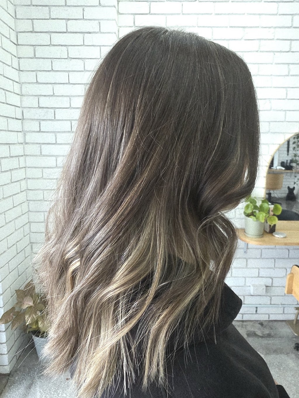 Chaos and Curl | 650 Warburton Hwy, Seville VIC 3139, Australia | Phone: 0478 575 565