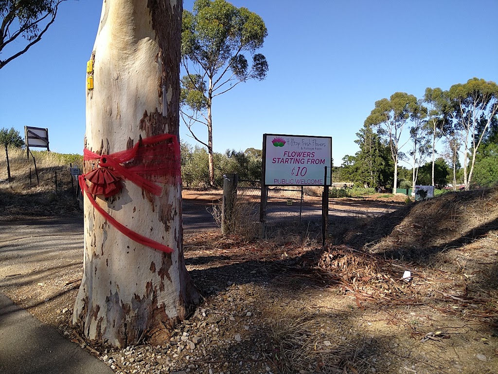 Hilltop Fresh Flowers | 654 Yorktown Rd, One Tree Hill SA 5114, Australia | Phone: (08) 8280 7045