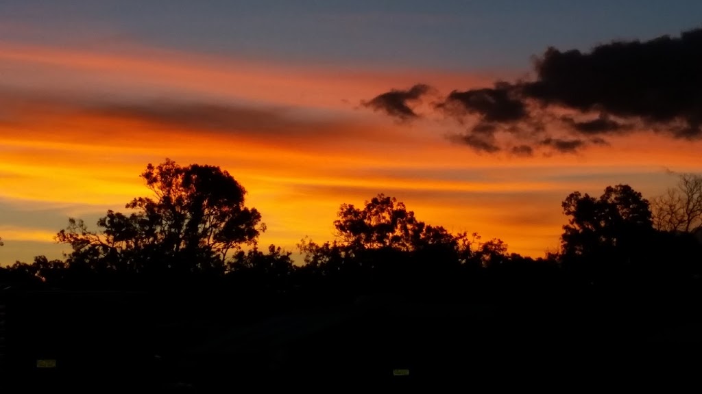 FNQ Rotary Field Day | Bourke Developmental Road, Mareeba QLD 4880, Australia | Phone: 0427 998 203