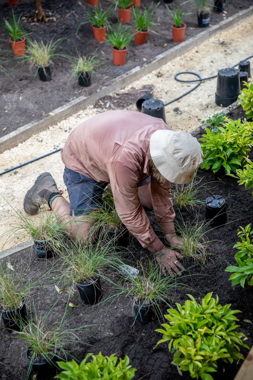 Florioscape Gardens | Lennox Head NSW 2478, Australia | Phone: 0428 059 104