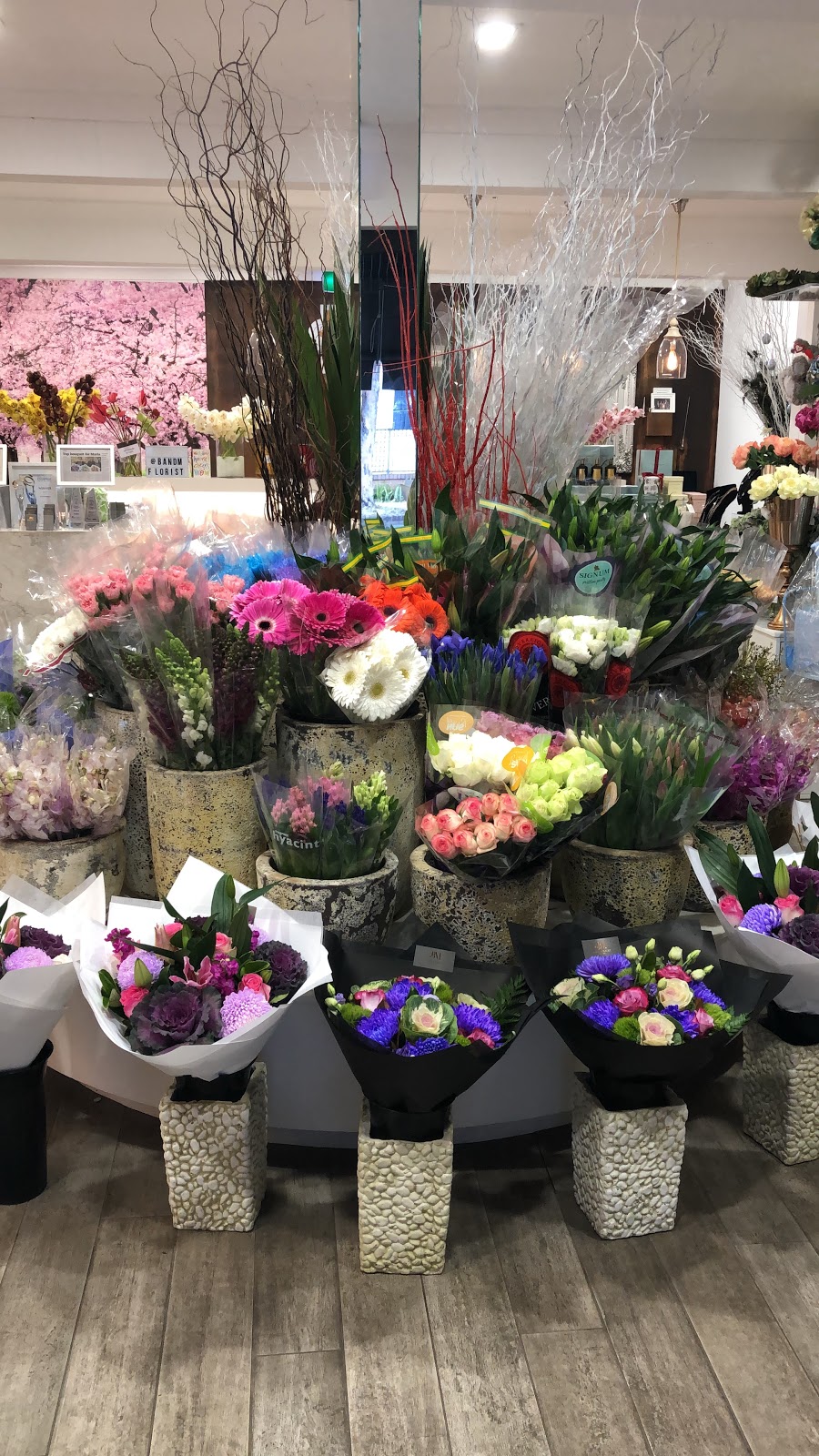 B & M FLORIST | florist | 41 OConnell St, Monterey NSW 2217, Australia | 0295871900 OR +61 2 9587 1900