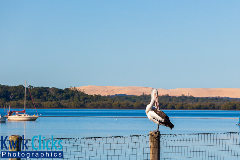 Ironbark Homeopathy | 23 Boundary St, Redland Bay QLD 4165, Australia | Phone: (07) 3206 8274