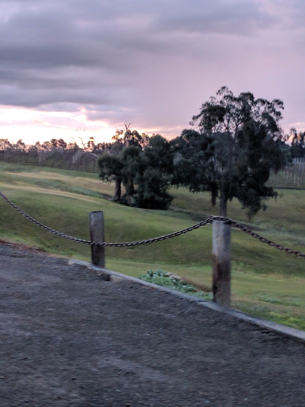 Hanrahan Vineyards | 3 Hexham Rd, Gruyere VIC 3770, Australia | Phone: 0413 573 668