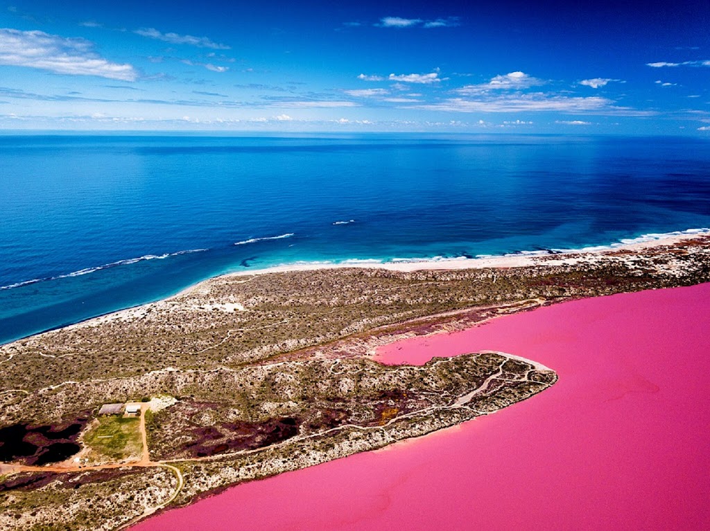 Pink Lake Buggy Tours | travel agency | 13 Sanford St, Gregory WA 6535, Australia | 0899351052 OR +61 8 9935 1052