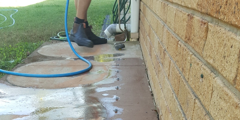 Asset Guard Pest Control | 5 Aletta St, Shailer Park QLD 4128, Australia | Phone: 0481 090 563