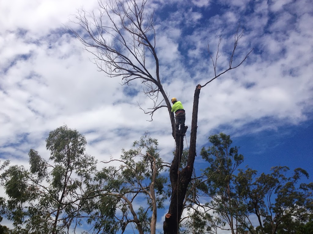 24/7 TREES AUSTRALIA | 1-7 Kyeema Ct, Munruben QLD 4125, Australia | Phone: 1300 024 787