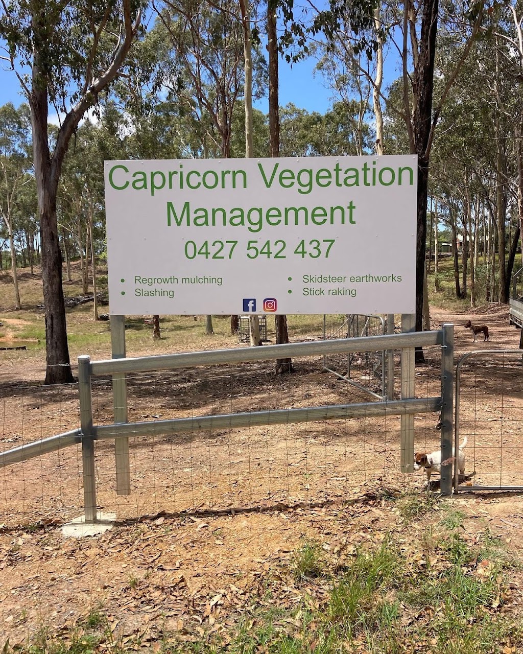 Capricorn Vegetation Management | 67 Budarick Rd, Cawarral QLD 4702, Australia | Phone: 0427 542 437